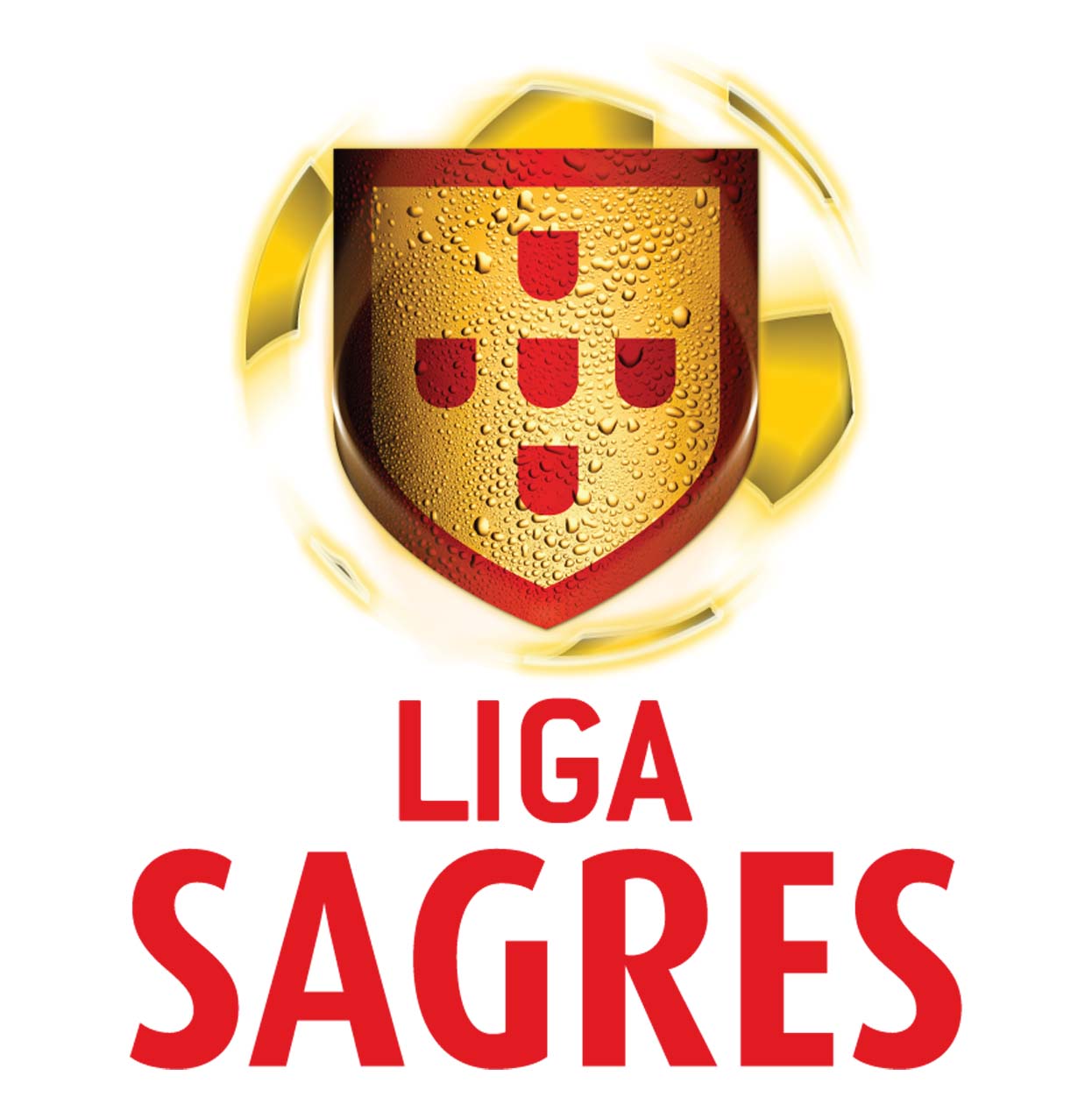 Liga Portuguesa en Abierto  2012/2013